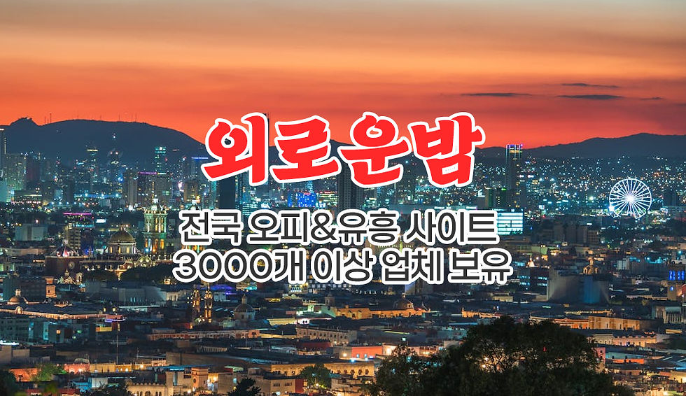 시흥 최고의 유흥사이트, 외로운밤