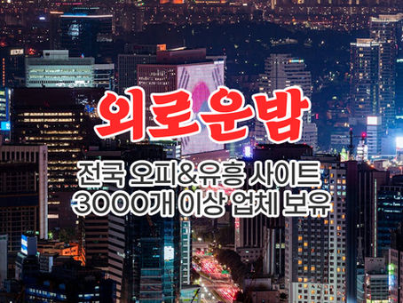 과천 최고의 유흥사이트, 외로운밤