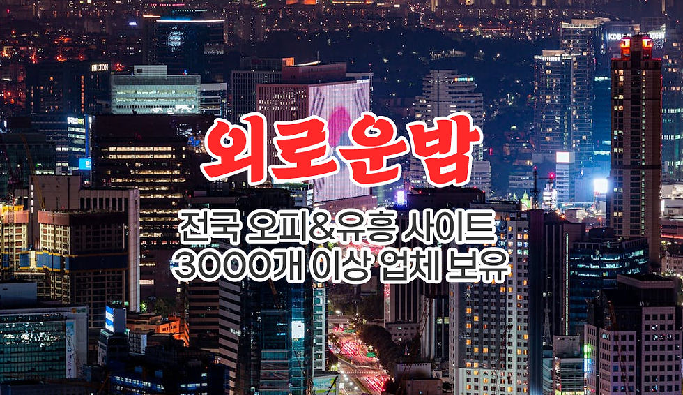과천 최고의 유흥사이트, 외로운밤