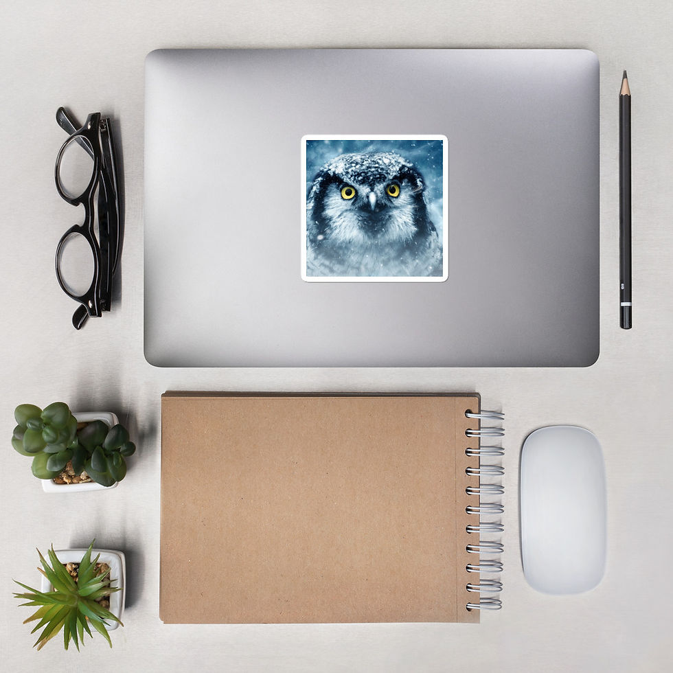 Thumbnail: Bubble-free stickers - OWL