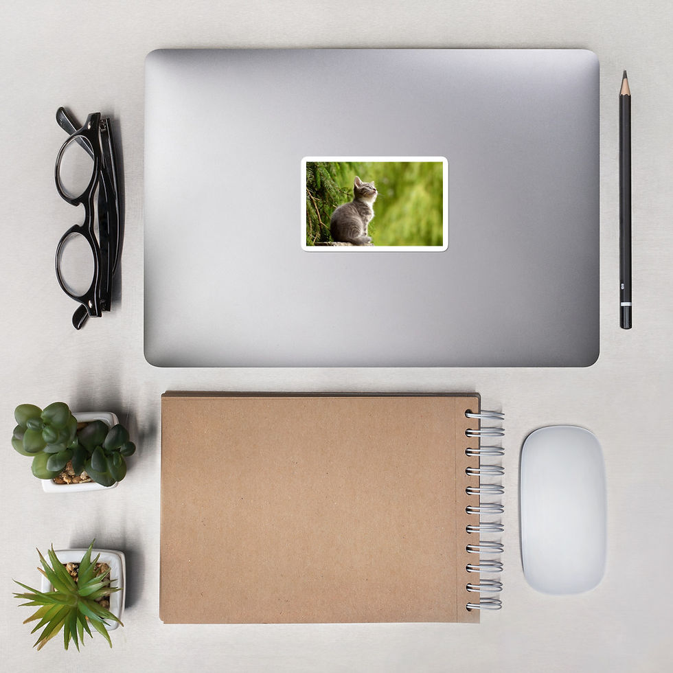 Thumbnail: Bubble-free stickers - Cat