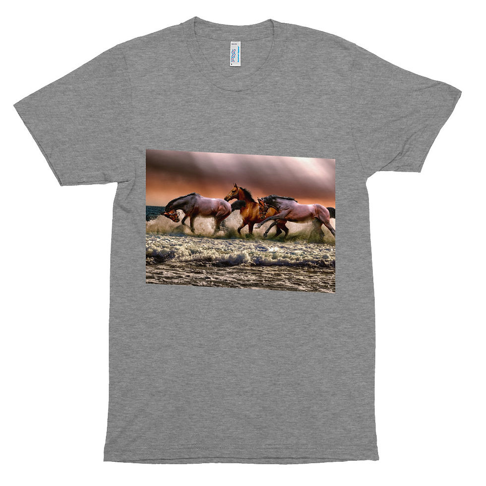 Thumbnail: Unisex Tri-Blend Track Shirt - horses