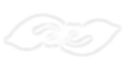 Copy of FIT Live Experience Banner (2).p