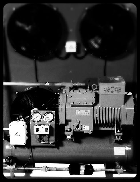 bitzer condensing units_edited.jpg