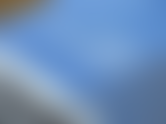 La conversión de la acción pública en privada en el Código Procesal Penal Federal (CPPF): avances para las víctimas, desafíos para el sistema