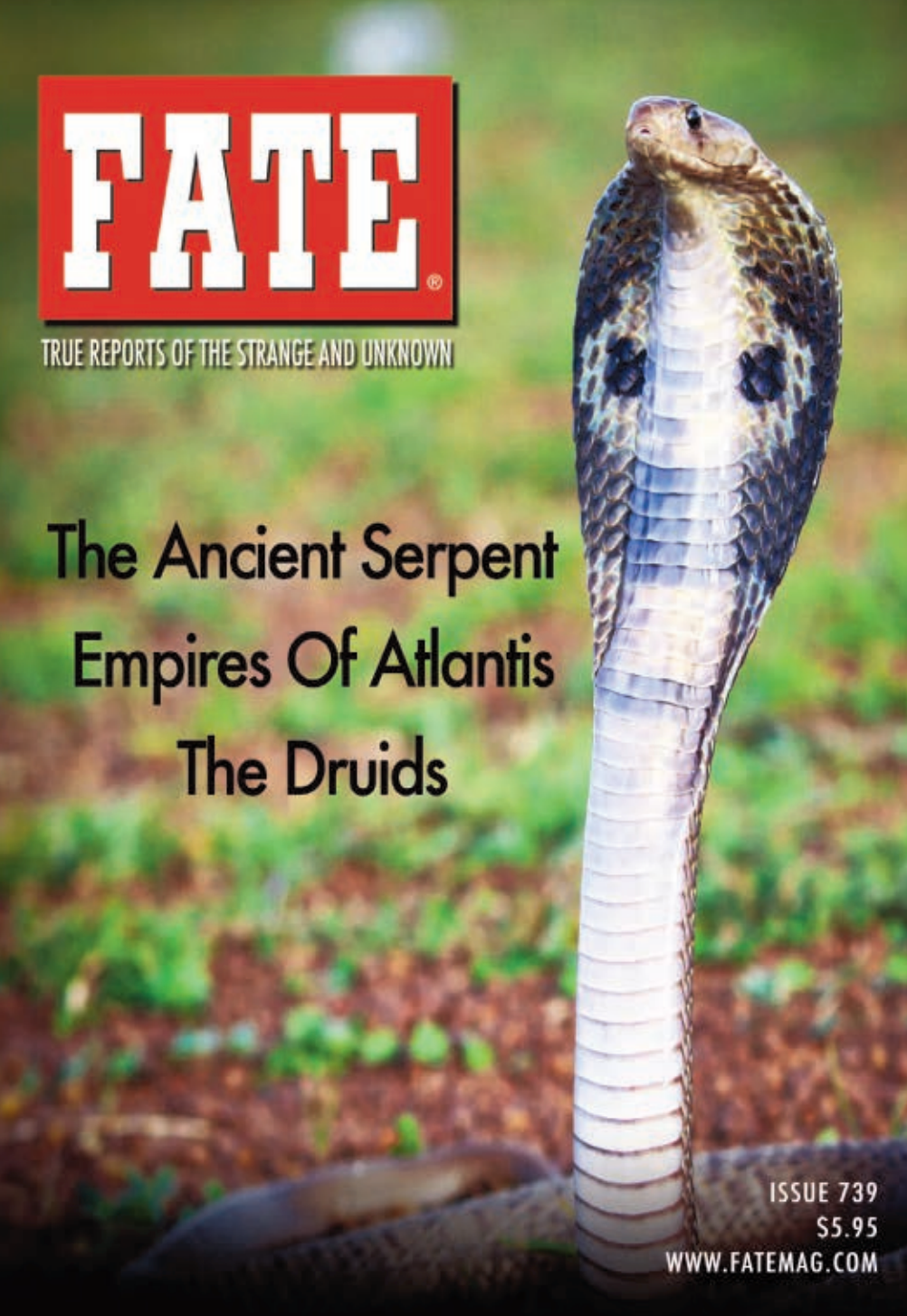 Fate Issue 739 - E issue