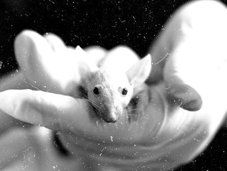 Real-Life Frankenstein Experiments Carried Out By Mad Scientists