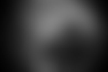 Are We All Really Experiencing the Same Reality?