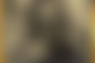 The Existence Of Mermaids