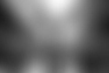 Human-Animal Hybrids