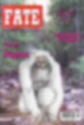 issue 726.jpg