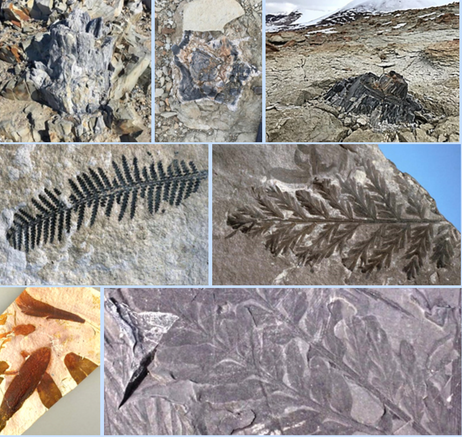 Dinosaur Fossils and Ghosts -Remnants of the Past