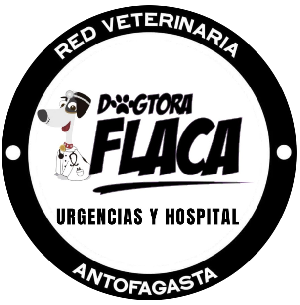 Nueva Dogtora Flaca Nueva Dogtora Flaca