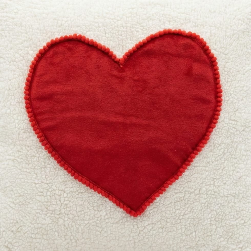 Thumbnail: Teddy Love Sherpa Cushion