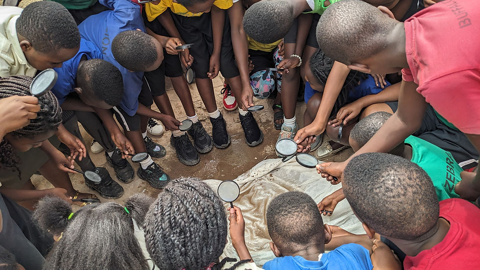 Discovering the Hidden Life in Water