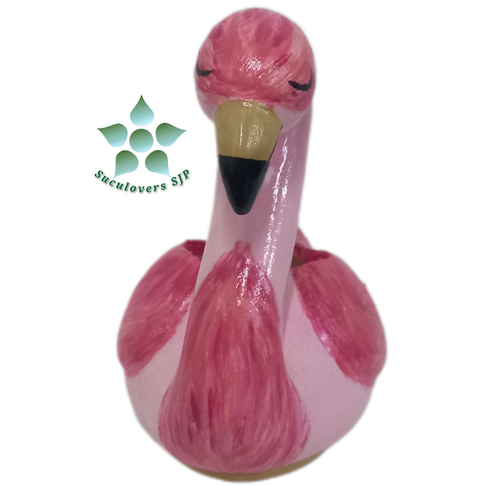 Miniatura: Vaso Flamingo 