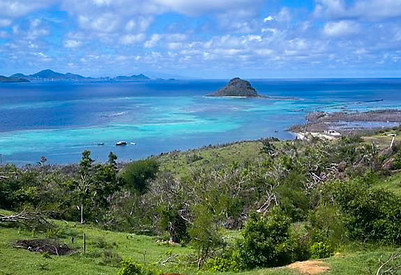 Union Island Land - Serene Views