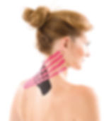 2-tägiger Basiskurs „Kinesiologisches Taping“