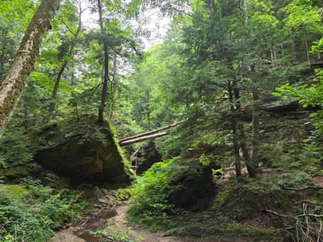 A Day Trip to Turkey Run State Park, Indiana