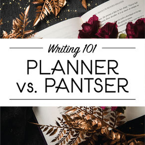 Writing 101: Are you a Planner or a Pantser?