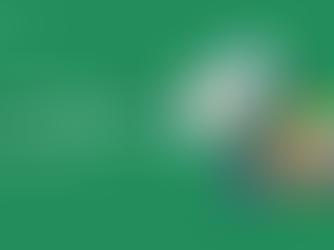 Pain Points for QSR Chain Owners