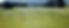 Sheep in Open Fields_edited.jpg