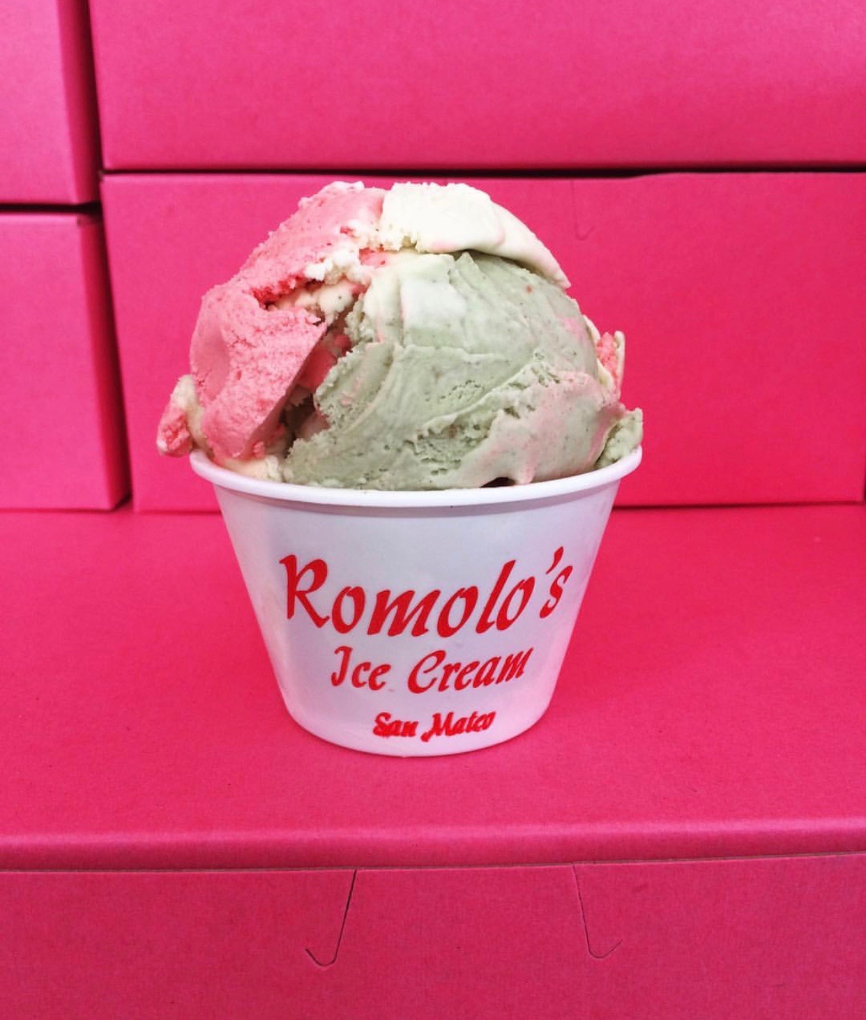 Arranged Food and Objects