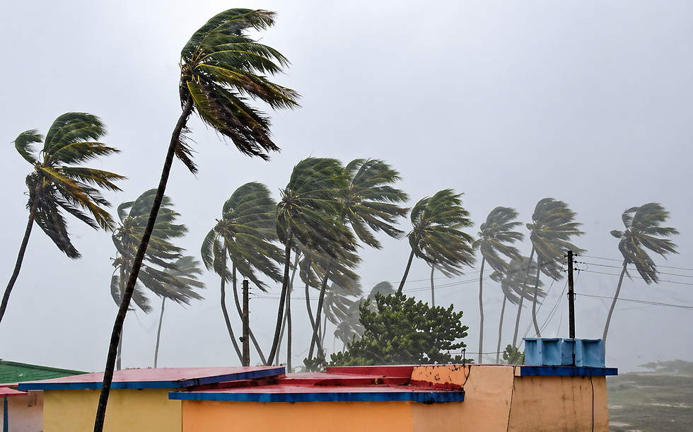 The Healthy Adult Mode During a Present Hurricane