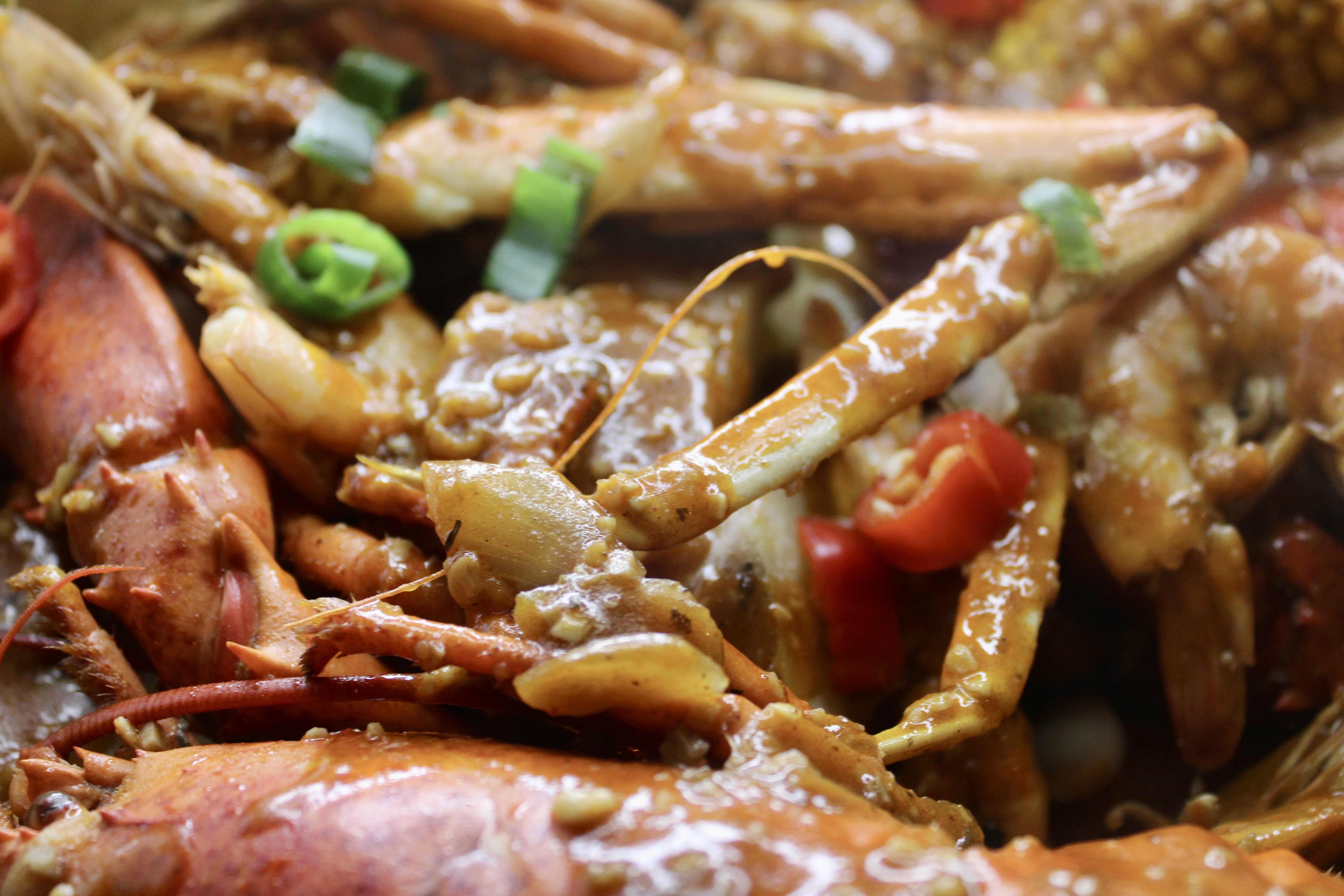 Arranged Food and Objects