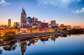 close-up-nashville-tennessee-view sm.jpg