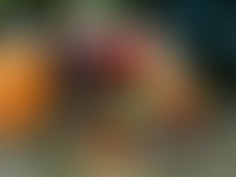 Experience the Ultimate Summer Elegance: Jenwey Tea’s Garden Party Extravaganza