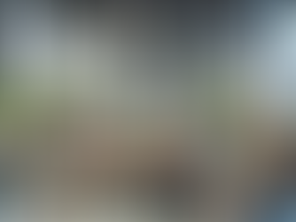 Boosting Productivity: The Role of Tea in Corporate Environments