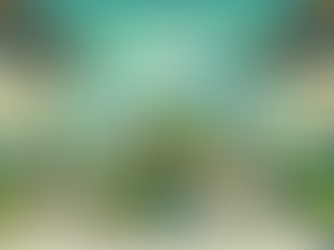 Exploring the World of Wholesale Matcha