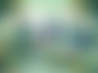 Tea Time by the Corporate Lagoon: Unwinding with Nature