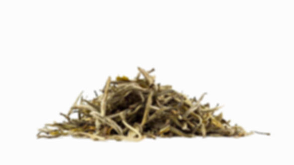 Jasmine Silver Needle