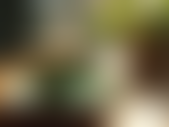 Top Teas for a Stronger Immune System