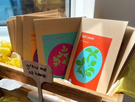 seed gift, bold, colourful illustrations