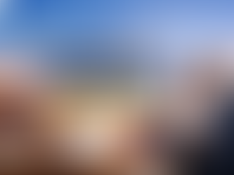 Special Valuation Branch (SVB) under Custom Laws: Complete Guide for Importers