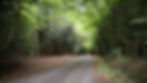 Rossway Park Estate -2.jpg