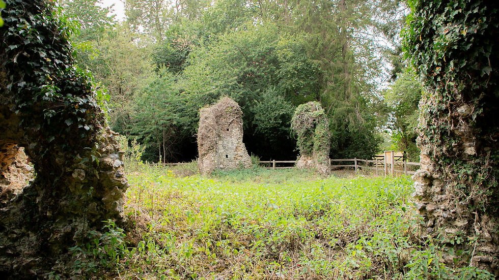 Rossway Park Estate -4.jpg