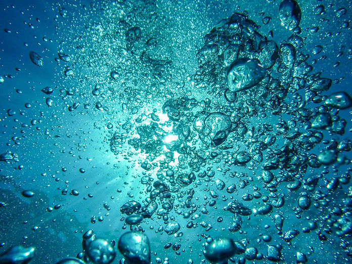 SCUBA diving center, SCUBA diving shop, SCUBA, diving gear, SCUBA gear, SCUBA equipment, SCUBA classes, SCUBA courses, Refresher SCUBA, Veterans, Military, VA Central Texas Diver, Central Texas Diving, Central Texas SCUBA, SCUBA diving in Central Texas, Reef Encounters, Phantom Training Facility, Project SCUBA, Toms Dive & Swim, Women SCUBA, Girls SCUBA, SCUBA buddy. Recreational SCUBA, Sport, Recreation, Rescue Diver, Kids SCUBA, CTX SCUBA, CTX diving, CTX, Swimming, Lake recreation, Dive Shop, Dive Shop near me, SCUBA diving near me, SCUBA shop near me, DIVE computers, SCUBA diving computers, SCUBA certified, SCUBA certification, Experience, master diver, dive master, SCUBA instructor