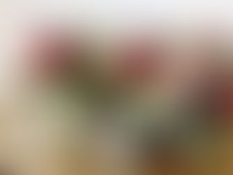 神奈川と鹿児島在住のおふたりの、兵庫と鹿児島でのウェディング！