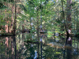 バンクーバー視察レポート2024