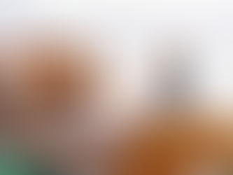 今週のウェディングのご相談事例