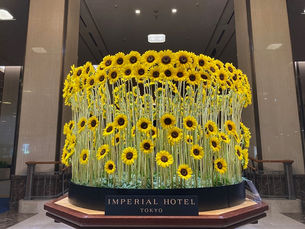 帝国ホテルでのウェディング打合せに行ってきました