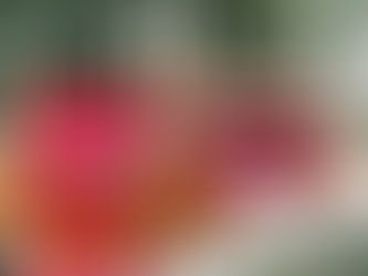 自分たちだけのウェディングの作り方