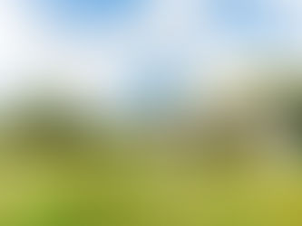 Hさん＆Yさんのオリジナルウェディング事例 1/2