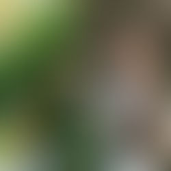 🍀Martes día de Suerte 