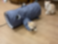 IMG_7691_edited.png