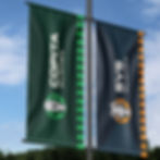 street flags_edited.jpg